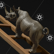 Der Nördliche Rhinocerus